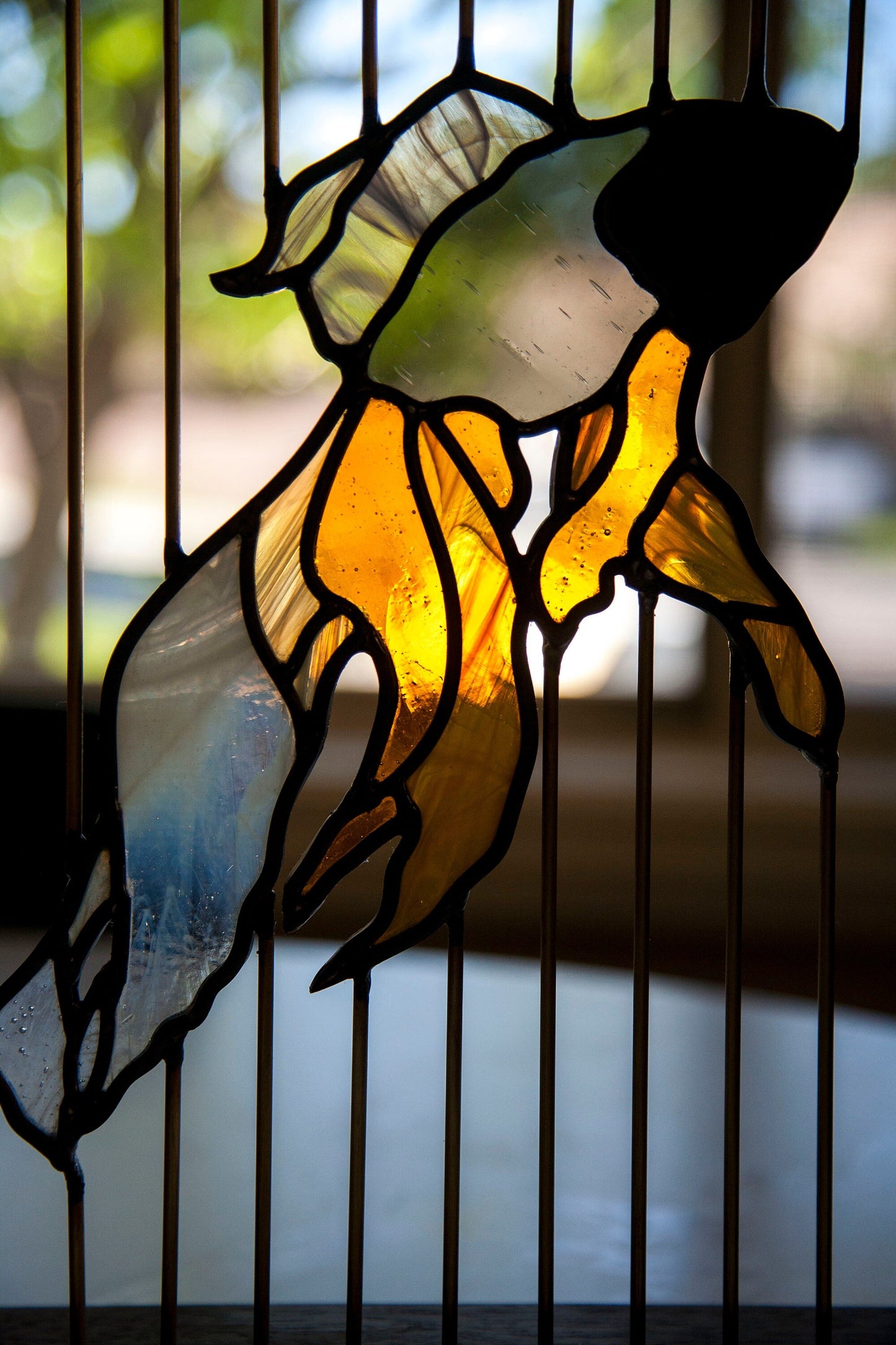 Stained Glass Fish - Floating in Walnut Wood Frame with Brass