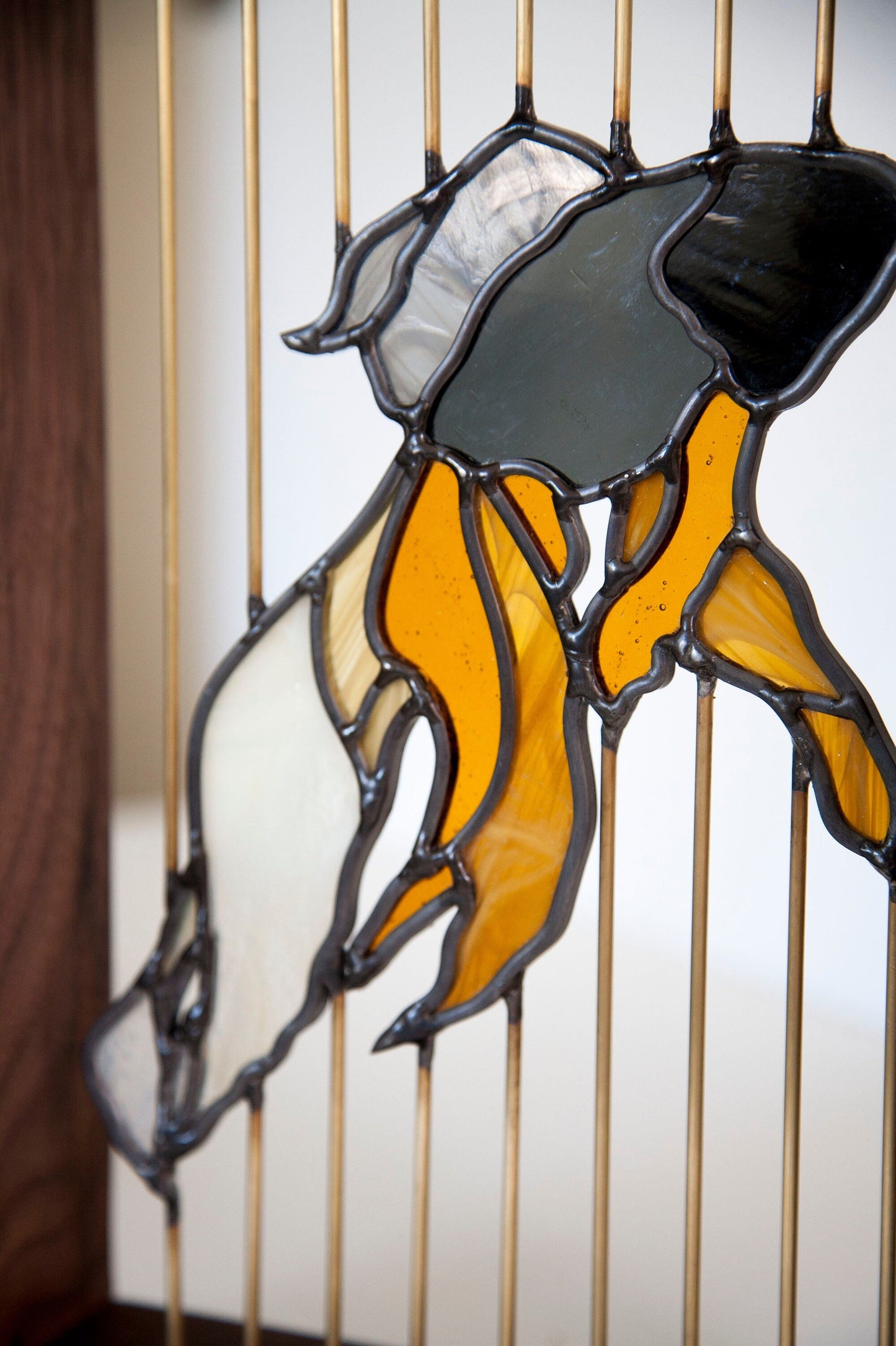 Stained Glass Fish - Floating in Walnut Wood Frame with Brass